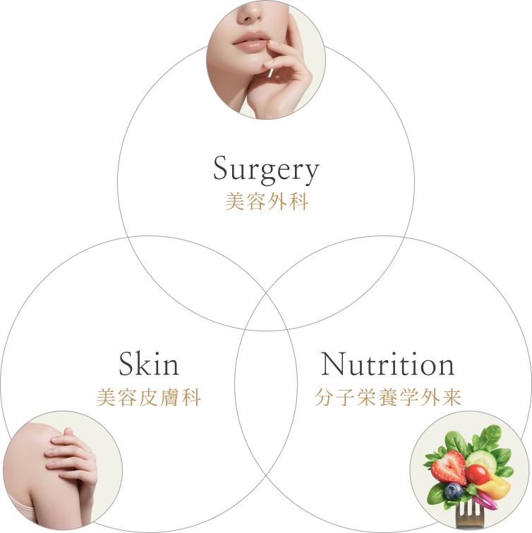 Surgery・Nutrition・Skin の3つの領域